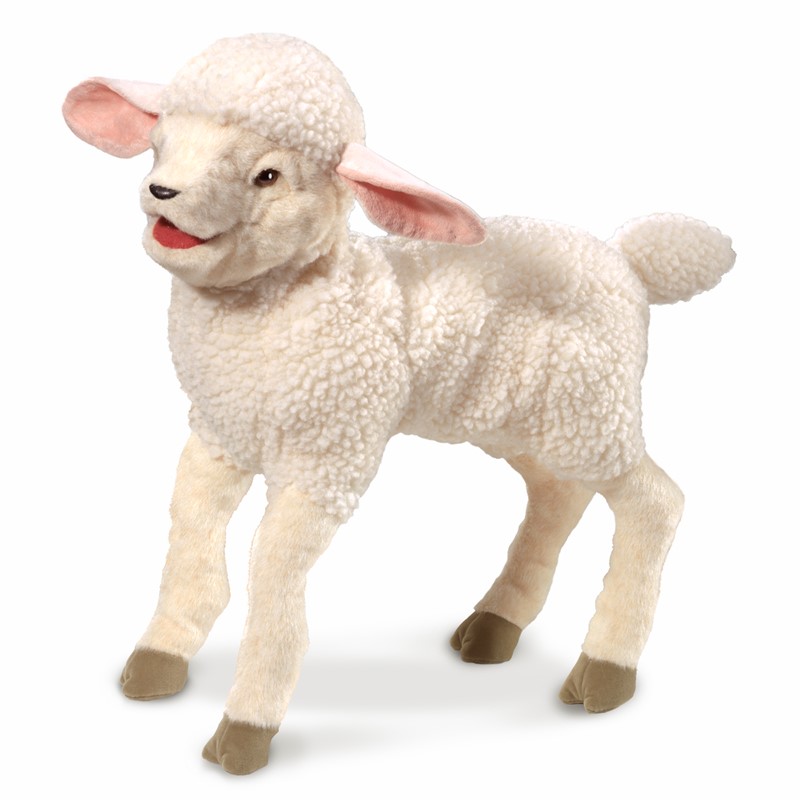 Silly Lamb by Puppets 
